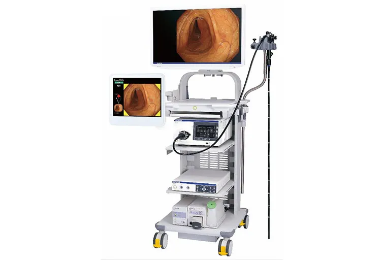 AI内視鏡診断支援システム「EndoBRAIN」を導入